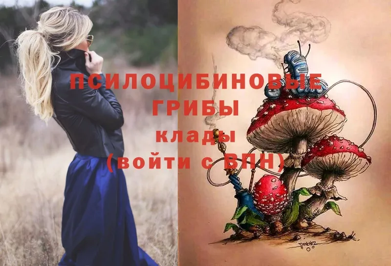 hydra как войти  Наволоки  Галлюциногенные грибы Psilocybe 